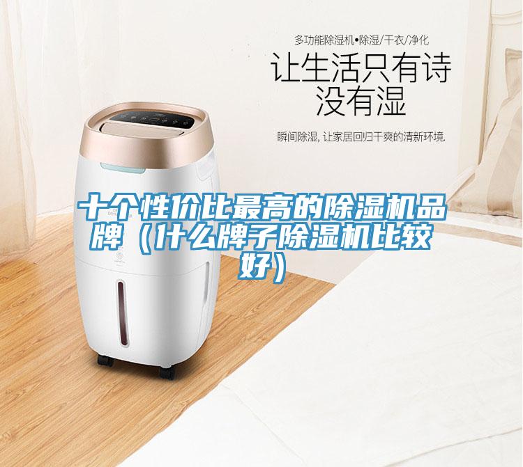 十個性價比最高的蘑菇视频网站品牌（什麽牌子蘑菇视频网站比較好）