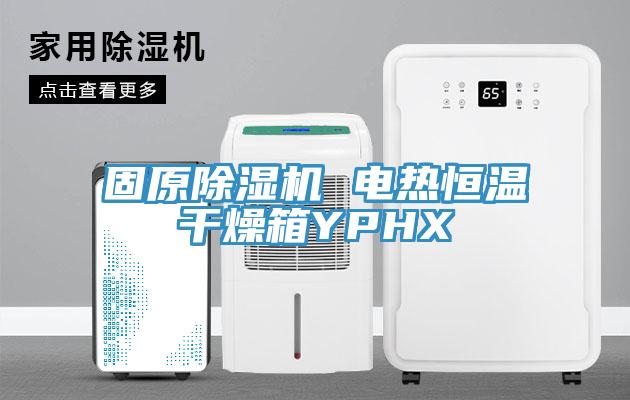 固原蘑菇视频网站 電熱恒溫幹燥箱YPHX
