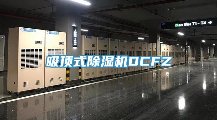 吸頂式蘑菇视频网站DCFZ