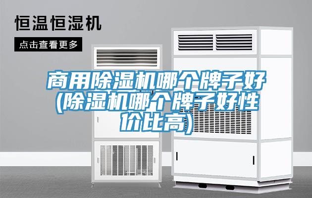 商用蘑菇视频网站哪個牌子好(蘑菇视频网站哪個牌子好性價比高)