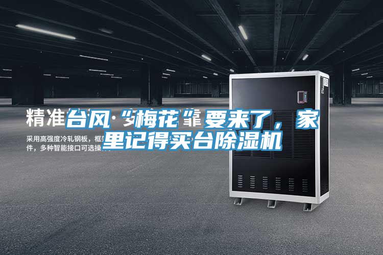 台風“梅花”要來了，家裏記得買台蘑菇视频网站