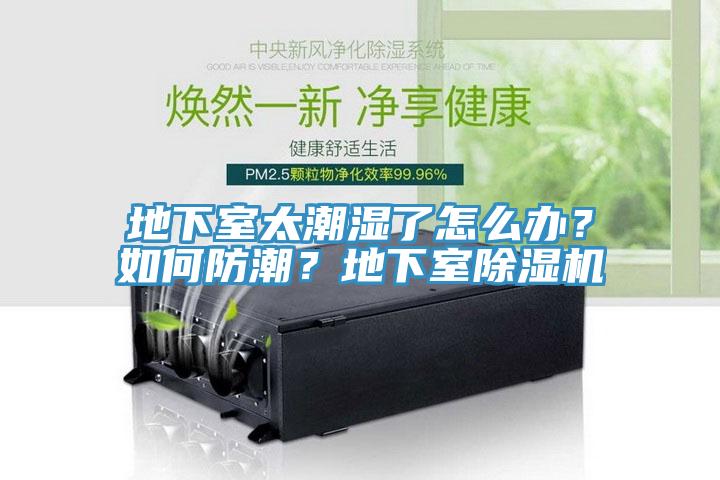 地下室太潮濕了怎麽辦？如何防潮？地下室蘑菇视频网站