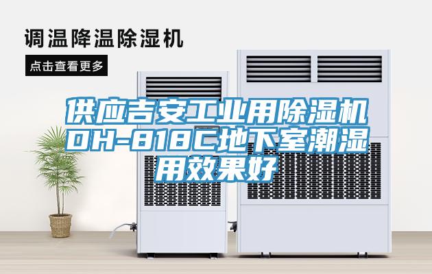 供應吉安工業用蘑菇视频网站DH-818C地下室潮濕用效果好