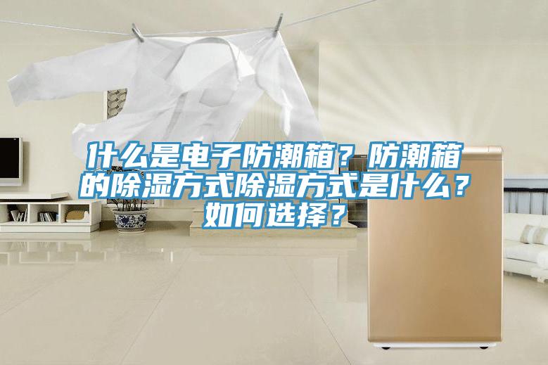 什麽是電子防潮箱？防潮箱的除濕方式除濕方式是什麽？如何選擇？