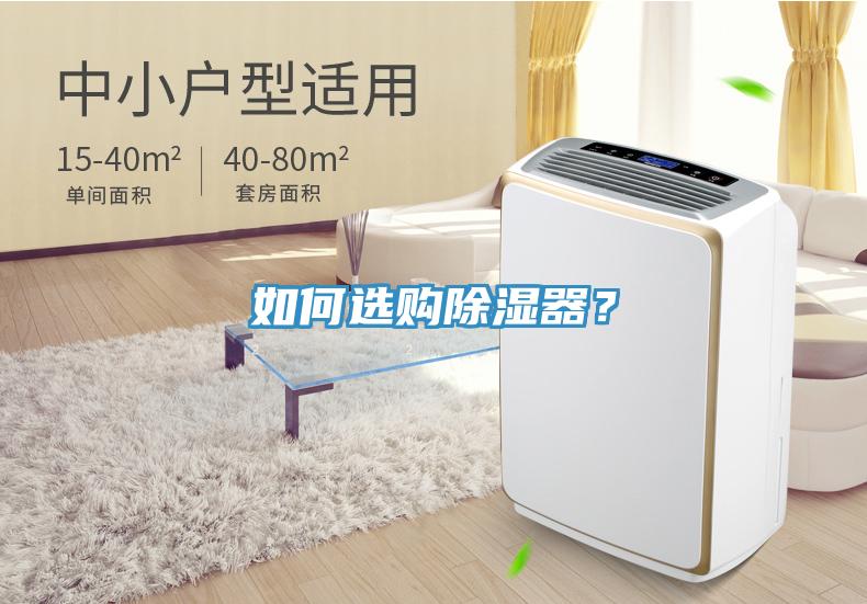 如何選購除濕器？
