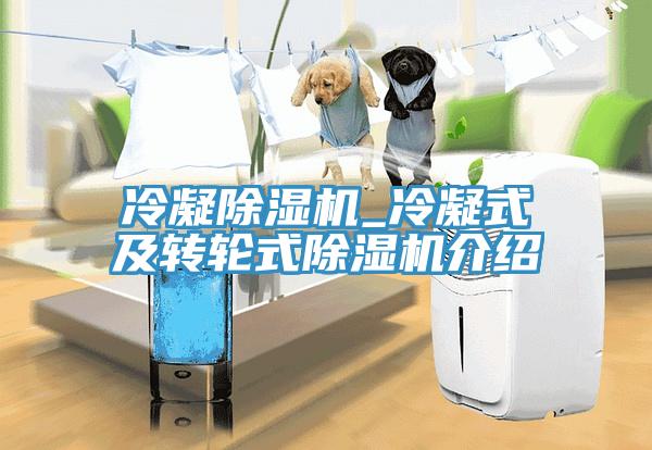 冷凝蘑菇视频网站_冷凝式及轉輪式蘑菇视频网站介紹