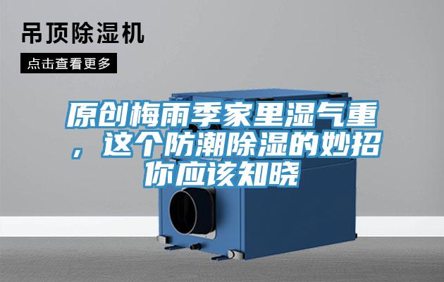 原創梅雨季家裏濕氣重，這個防潮除濕的妙招你應該知曉