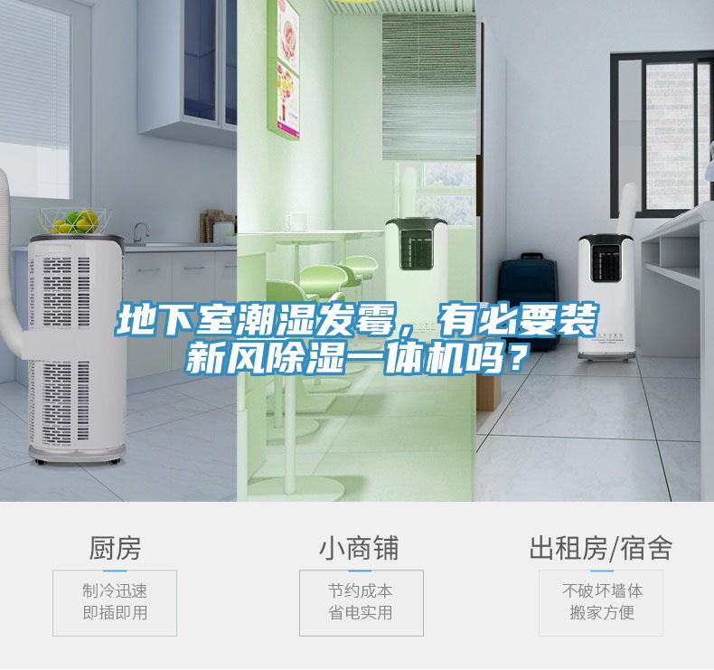 地下室潮濕發黴，有必要裝新風除濕一體機嗎？
