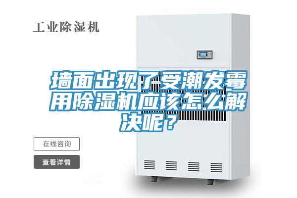 牆麵出現了受潮發黴用蘑菇视频网站應該怎麽解決呢？