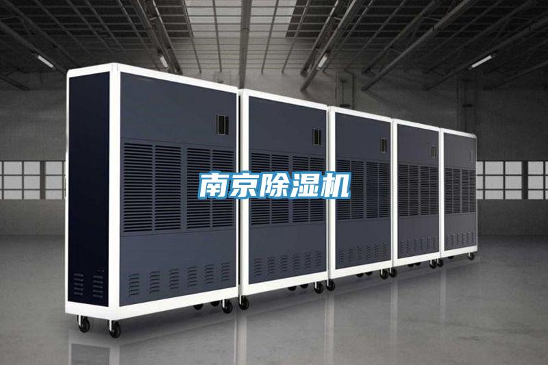南京蘑菇视频网站