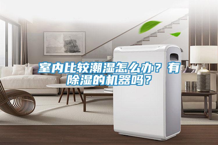 室內比較潮濕怎麽辦？有除濕的機器嗎？