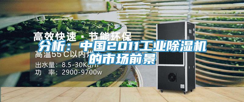 分析：中國2011工業蘑菇视频网站的市場前景
