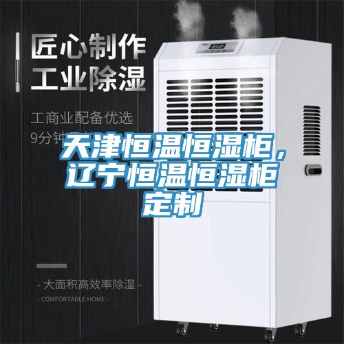 天津恒溫恒濕櫃，遼寧恒溫恒濕櫃定製
