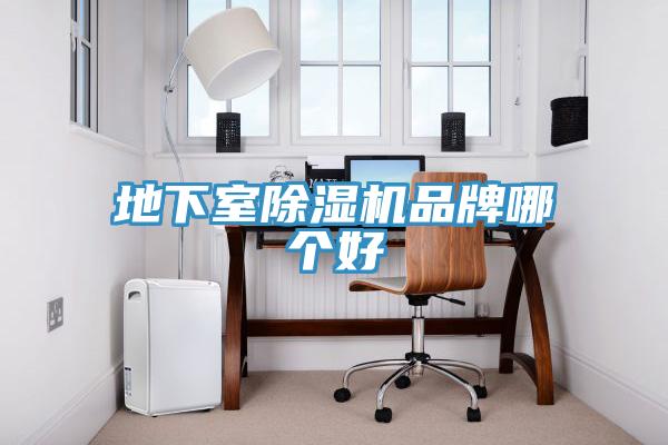 地下室蘑菇视频网站品牌哪個好