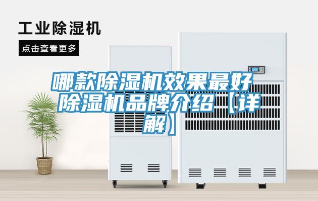 哪款蘑菇视频网站效果最好 蘑菇视频网站品牌介紹【詳解】