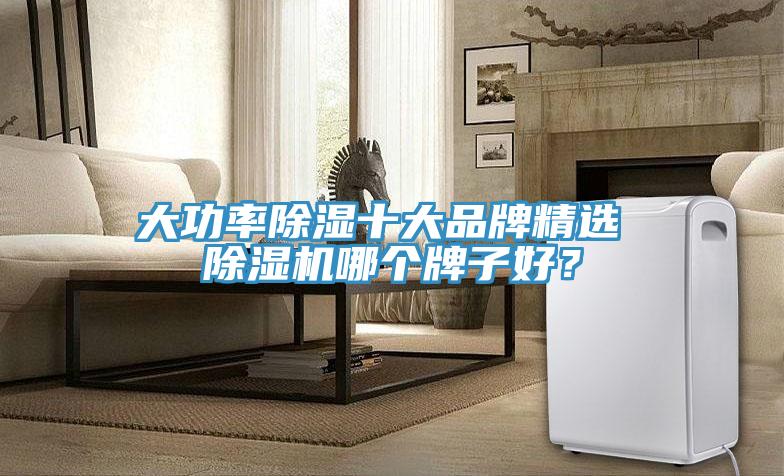 大功率除濕十大品牌精選 蘑菇视频网站哪個牌子好？