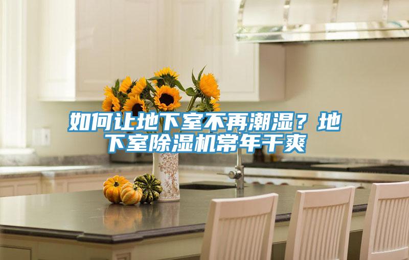 如何讓地下室不再潮濕？地下室蘑菇视频网站常年幹爽
