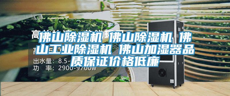 佛山蘑菇视频网站☆佛山蘑菇视频网站☆佛山工業蘑菇视频网站☆佛山加濕器品質保證價格低廉