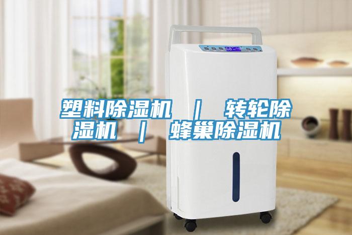 塑料蘑菇视频网站 ｜ 轉輪蘑菇视频网站 ｜ 蜂巢蘑菇视频网站