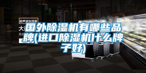 國外蘑菇视频网站有哪些品牌(進口蘑菇视频网站什麽牌子好)