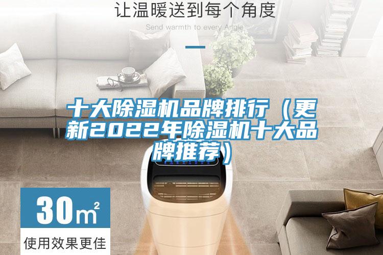 十大蘑菇视频网站品牌排行（更新2022年蘑菇视频网站十大品牌推薦）