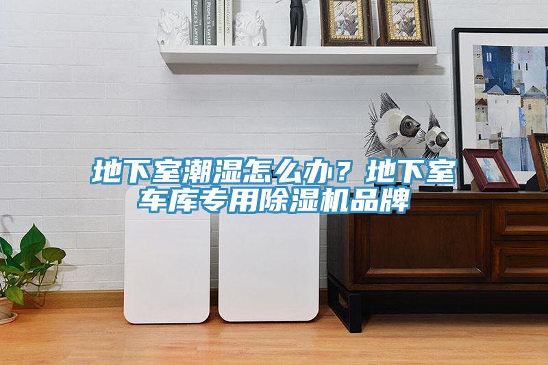 地下室潮濕怎麽辦？地下室車庫專用蘑菇视频网站品牌