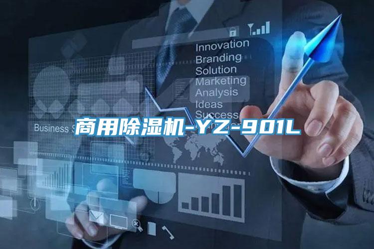 商用蘑菇视频网站-YZ-901L