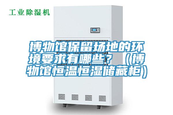 博物館保留場地的環境要求有哪些？（博物館恒溫恒濕儲藏櫃）
