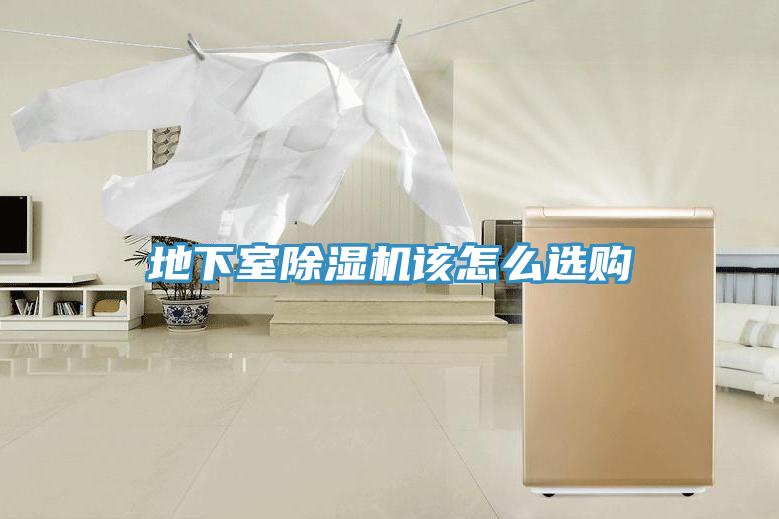 地下室蘑菇视频网站該怎麽選購