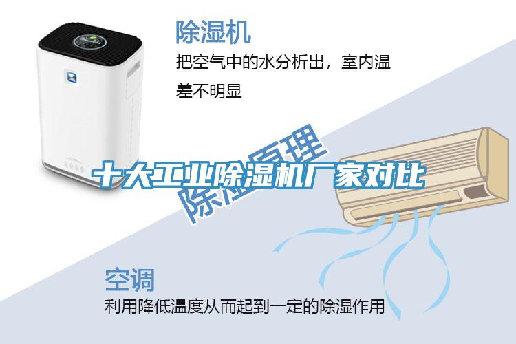 十大工業蘑菇视频网站廠家對比