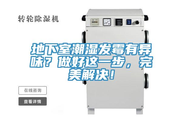 地下室潮濕發黴有異味？做好這一步，完美解決！