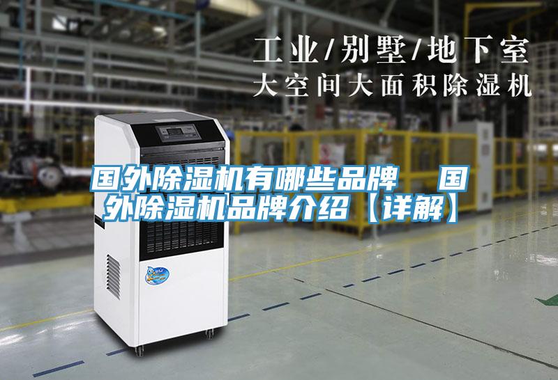 國外蘑菇视频网站有哪些品牌  國外蘑菇视频网站品牌介紹【詳解】