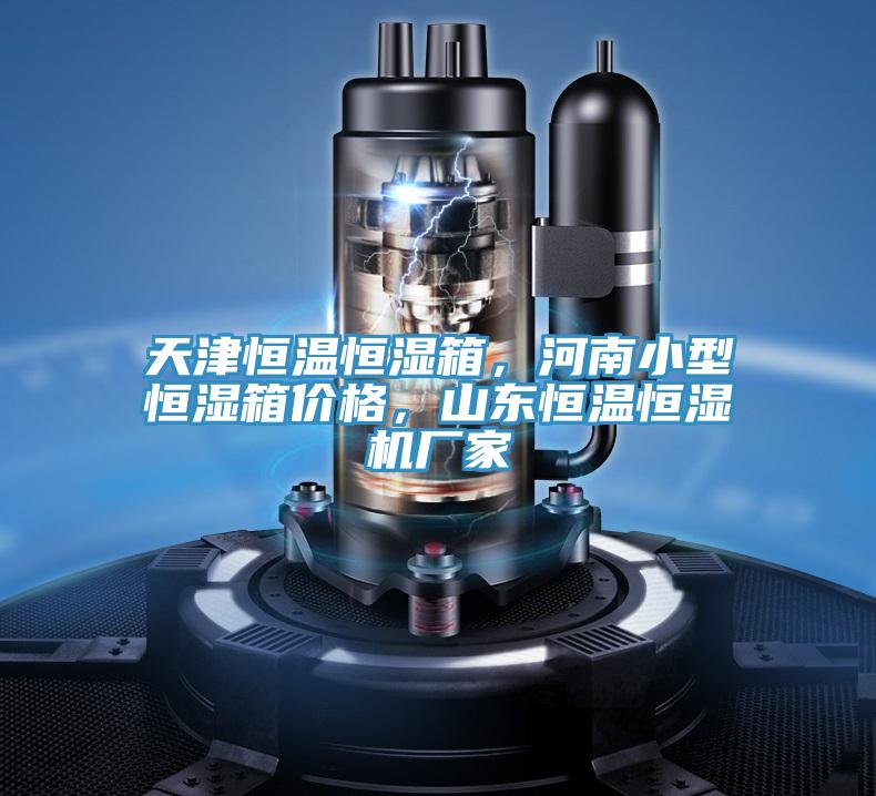 天津恒溫恒濕箱，河南小型恒濕箱價格，山東恒溫恒濕機廠家