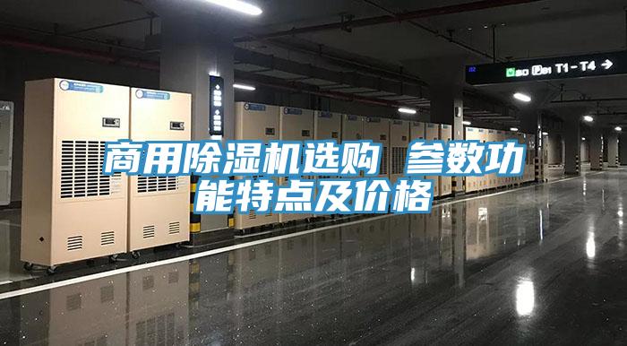 商用蘑菇视频网站選購 參數功能特點及價格