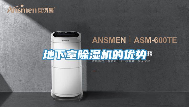 地下室蘑菇视频网站的優勢