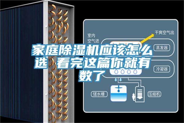家庭蘑菇视频网站應該怎麽選 看完這篇你就有數了