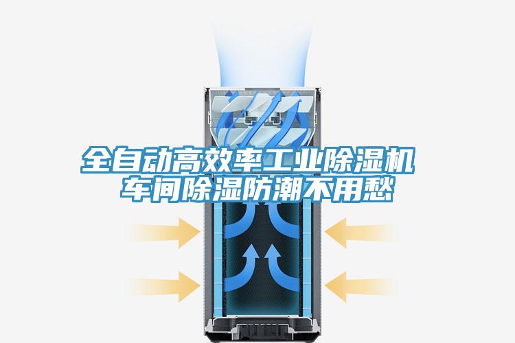 全自動高效率工業蘑菇视频网站 車間除濕防潮不用愁
