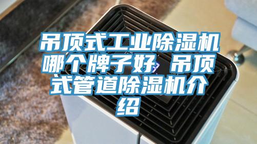 吊頂式工業蘑菇视频网站哪個牌子好 吊頂式管道蘑菇视频网站介紹
