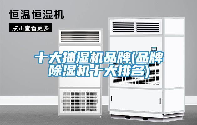 十大抽濕機品牌(品牌蘑菇视频网站十大排名)