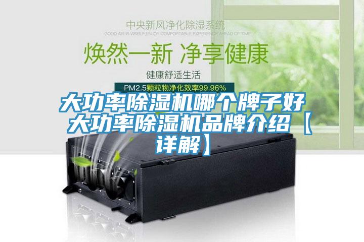 大功率蘑菇视频网站哪個牌子好 大功率蘑菇视频网站品牌介紹【詳解】