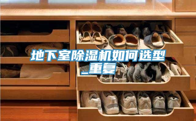 地下室蘑菇视频网站如何選型_重複