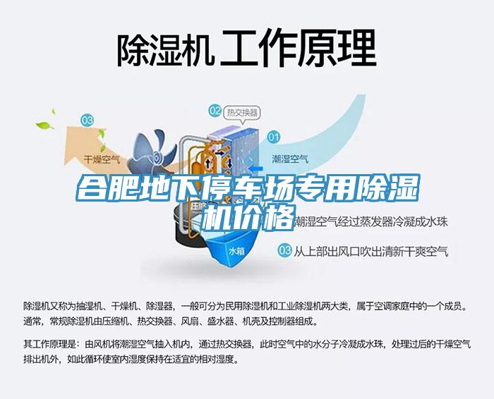 合肥地下停車場專用蘑菇视频网站價格