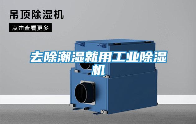 去除潮濕就用工業蘑菇视频网站