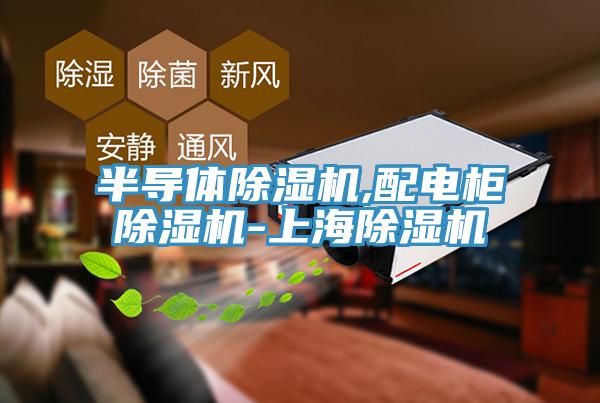 半導體蘑菇视频网站,配電櫃蘑菇视频网站-上海蘑菇视频网站