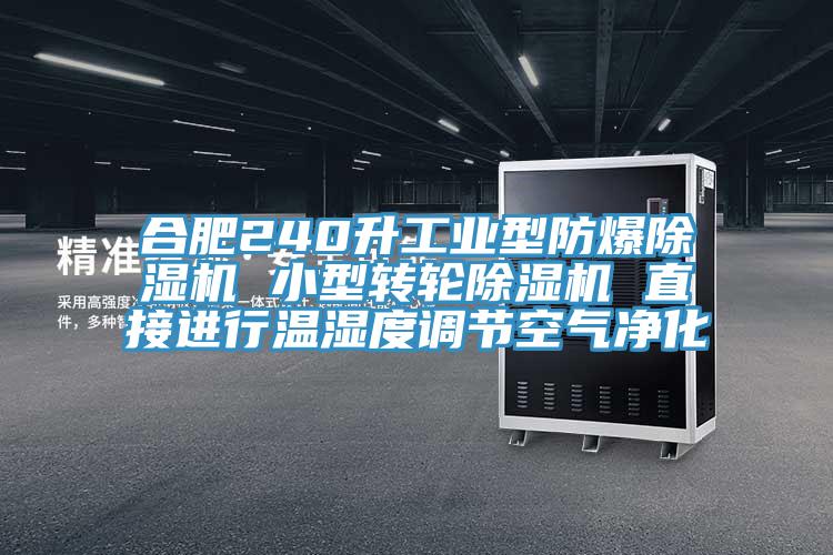 合肥240升工業型防爆蘑菇视频网站 小型轉輪蘑菇视频网站 直接進行溫濕度調節空氣淨化