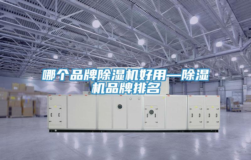 哪個品牌蘑菇视频网站好用—蘑菇视频网站品牌排名