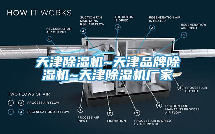天津蘑菇视频网站~天津品牌蘑菇视频网站~天津蘑菇视频网站廠家