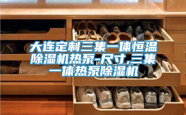 大連定製三集一體恒溫蘑菇视频网站熱泵-尺寸,三集一體熱泵蘑菇视频网站