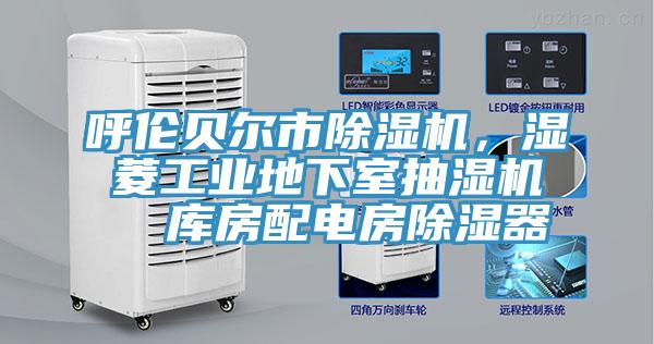 呼倫貝爾市蘑菇视频网站，濕菱工業地下室抽濕機  庫房配電房除濕器