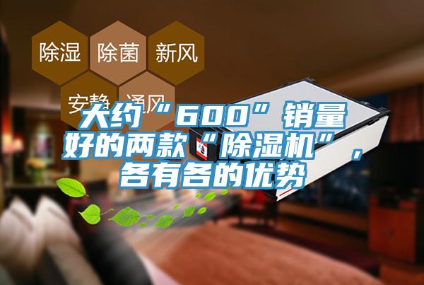 大約“600”銷量好的兩款“蘑菇视频网站”，各有各的優勢